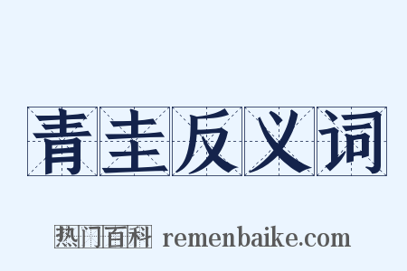 青圭反义词是什么意思的图片